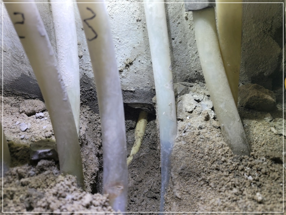 계양구누수탐지