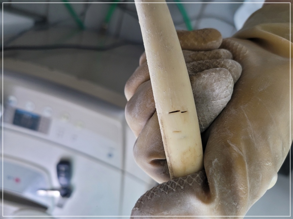 계양구누수탐지